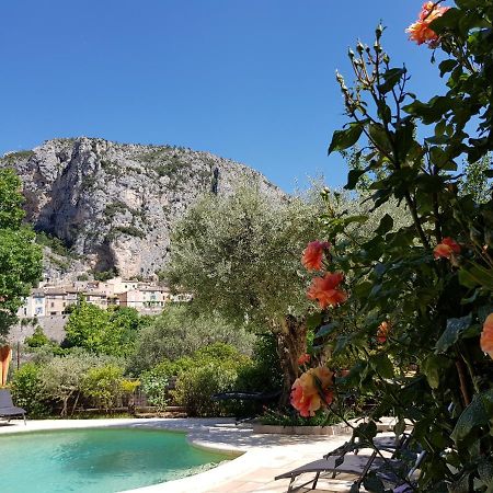 Bastide Des Oliviers Bed & Breakfast Moustiers-Sainte-Marie Exterior foto
