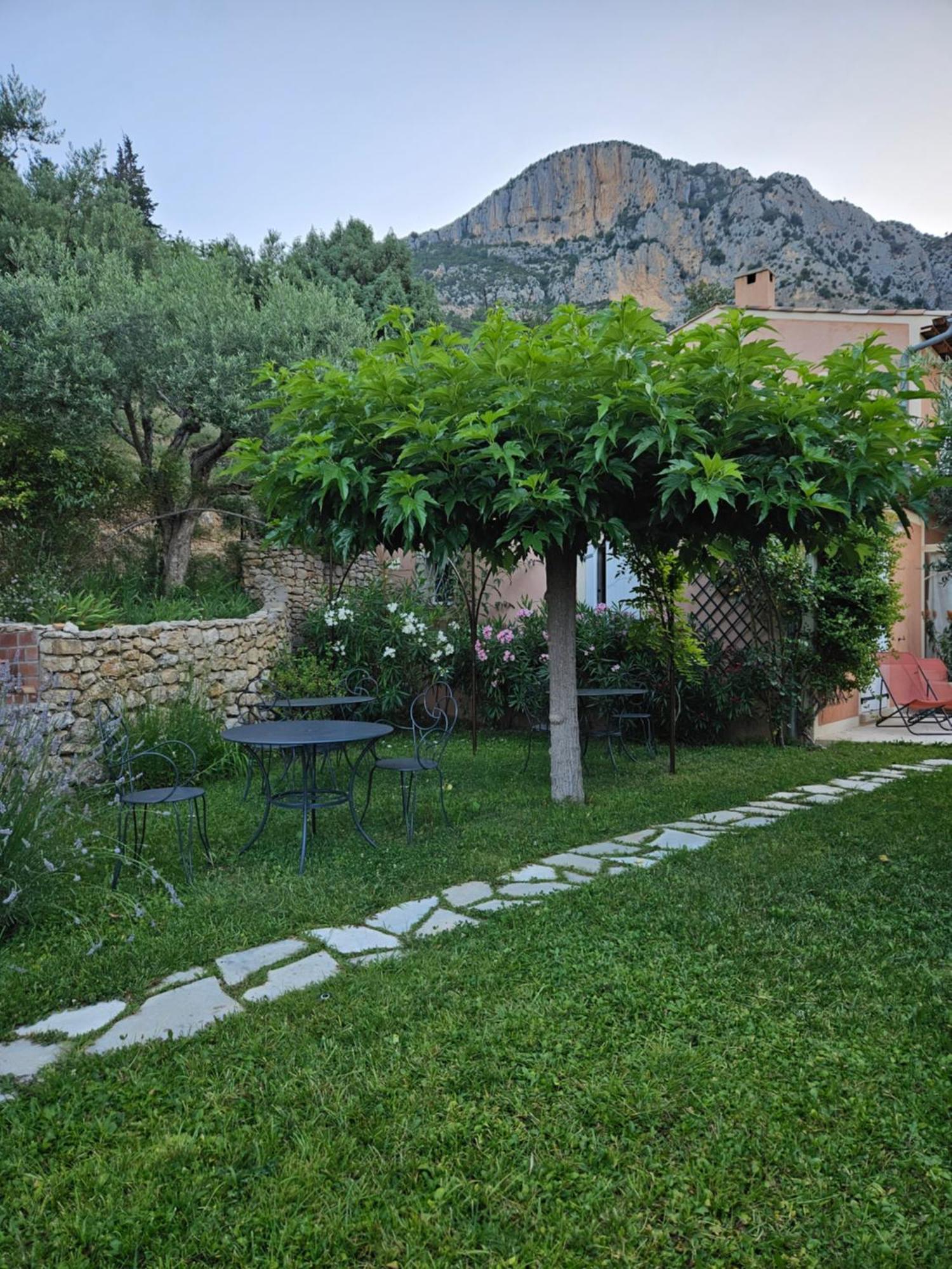 Bastide Des Oliviers Bed & Breakfast Moustiers-Sainte-Marie Exterior foto
